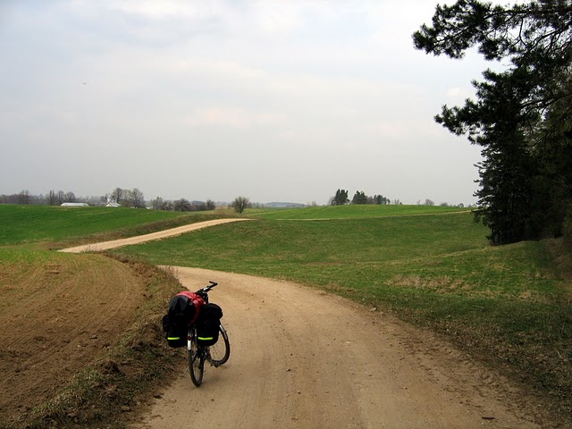 majowka06_suw_022.jpg