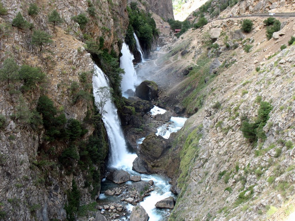 img_0084.jpg